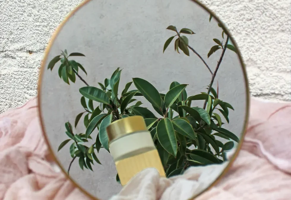 Desarrollo-de-Marca-Cosmética